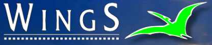 0_LogoWings.jpg