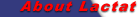Lactat Internet | About Lactat