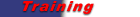 Lactat Internet | Training